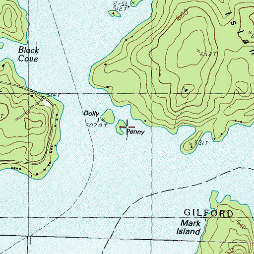 Topographic Map of Penny Island, NH