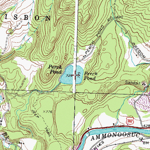 Topographic Map of Perch Pond, NH