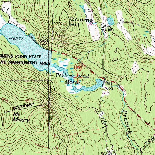 Topographic Map of Perkins Pond Marsh, NH