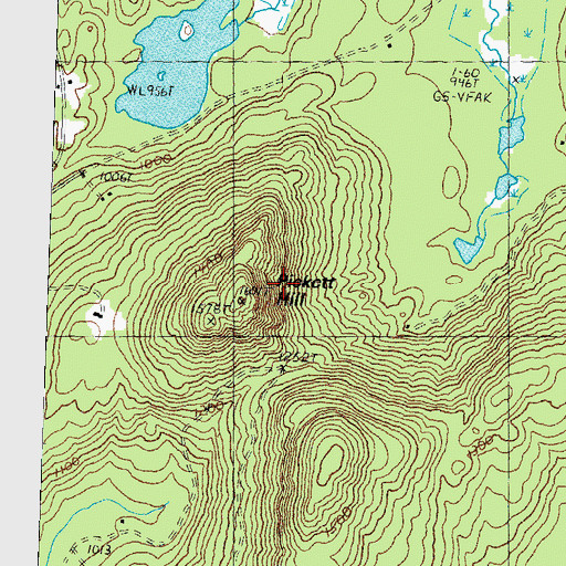 Topographic Map of Pickett Hill, NH