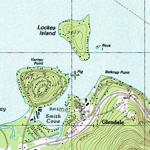 Topographic Map of Pig Island, NH