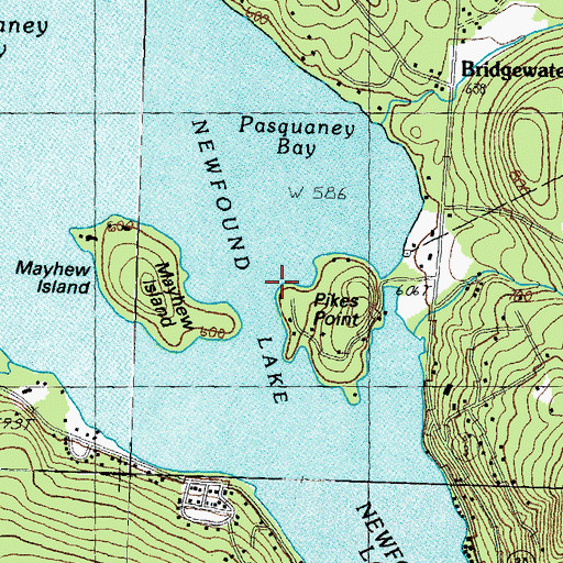 Topographic Map of Pikes Point, NH