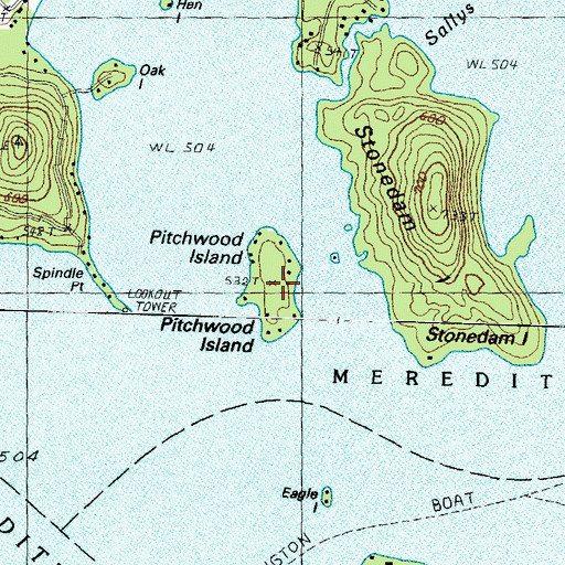 Topographic Map of Pitchwood Island, NH