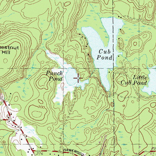 Topographic Map of Punch Pond, NH