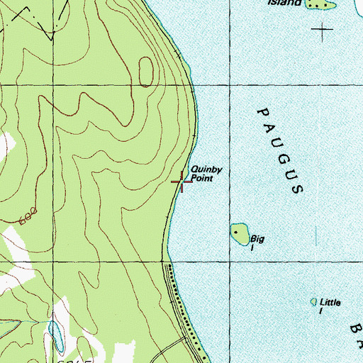 Topographic Map of Quinby Point, NH