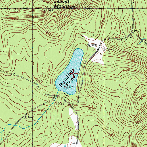 Topographic Map of Randlett Pond, NH