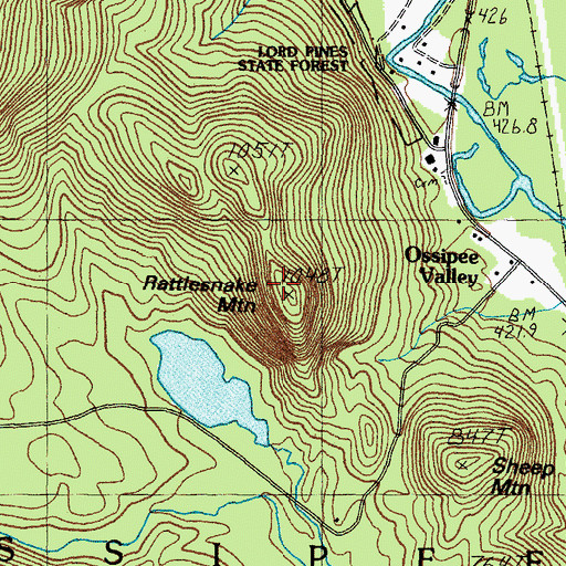 Topographic Map of Rattlesnake Mountain, NH
