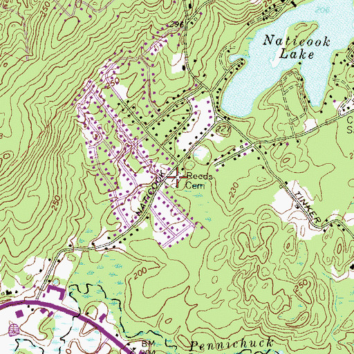 Topographic Map of Reeds Cemetery, NH