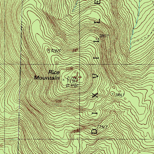 Topographic Map of Rice Mountain, NH