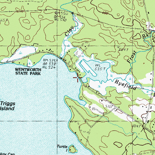 Topographic Map of Ryefield Brook, NH