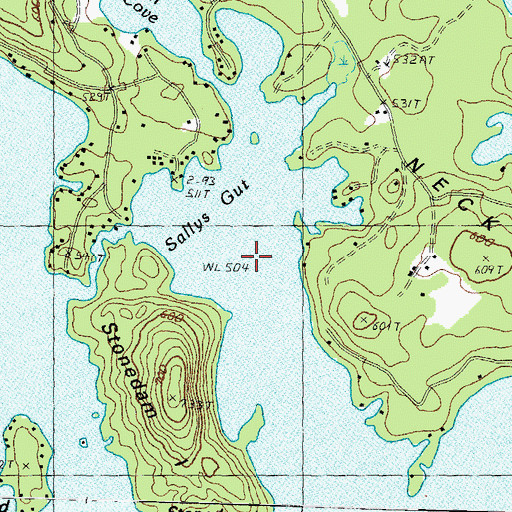 Topographic Map of Sallys Gut, NH