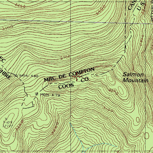 Topographic Map of Salmon Mountain, NH