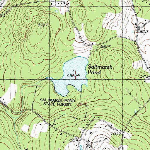 Topographic Map of Saltmarsh Pond, NH