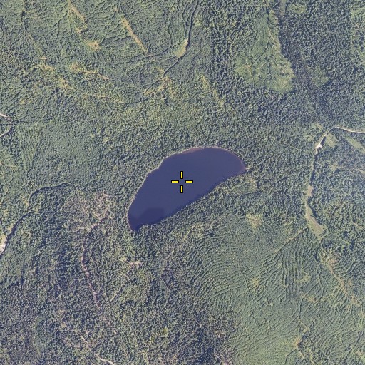 Aerial/Satellite Image of Sessions Pond, NH