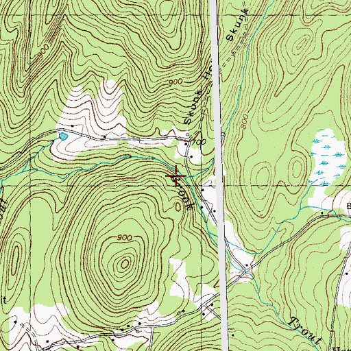 Topographic Map of Skunk Hollow, NH