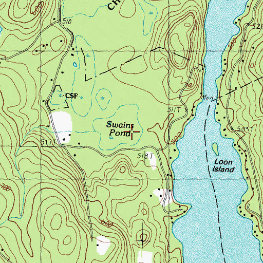 Topographic Map of Swamp Pond, NH