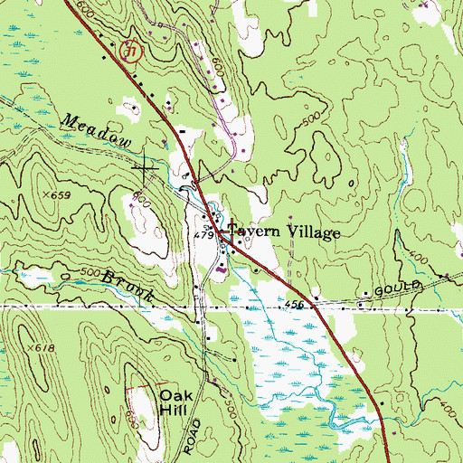 Topographic Map of Tavern Village, NH