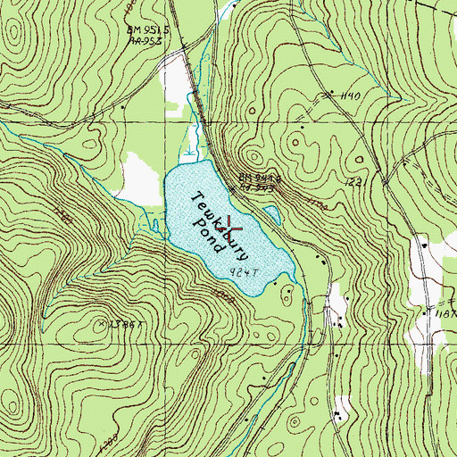 Topographic Map of Tewksbury Pond, NH