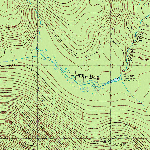 Topographic Map of The Bog, NH