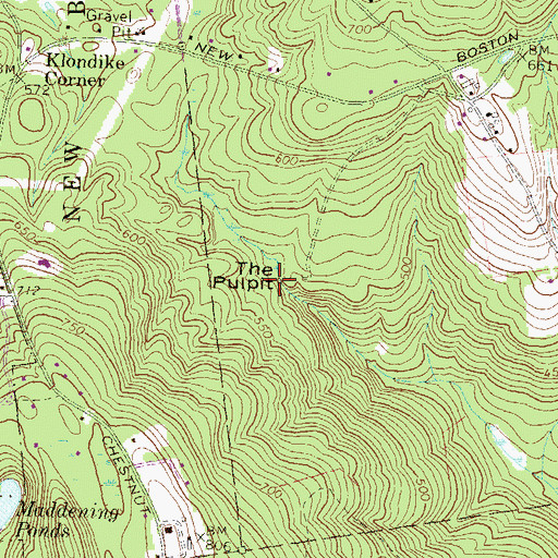 Topographic Map of The Pulpit, NH
