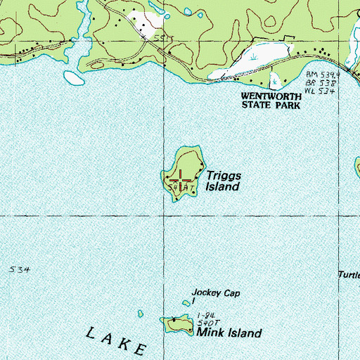 Topographic Map of Triggs Island, NH
