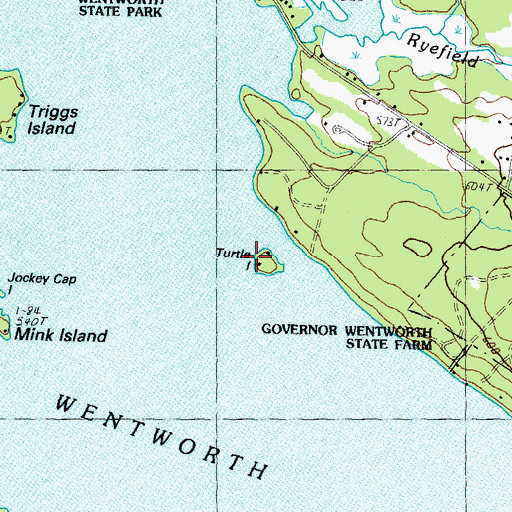 Topographic Map of Turtle Island, NH
