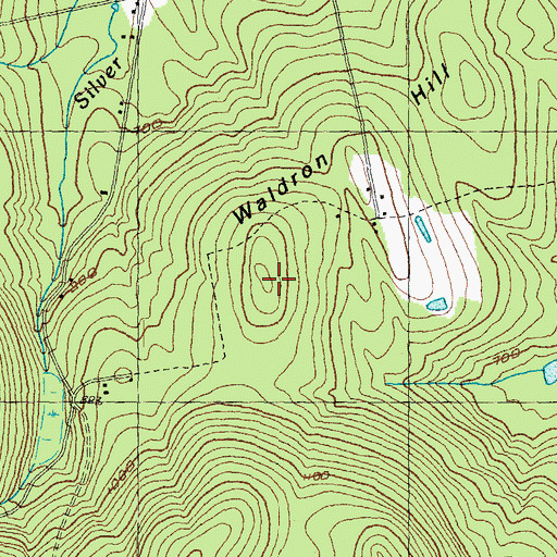 Topographic Map of Waldron Hill, NH