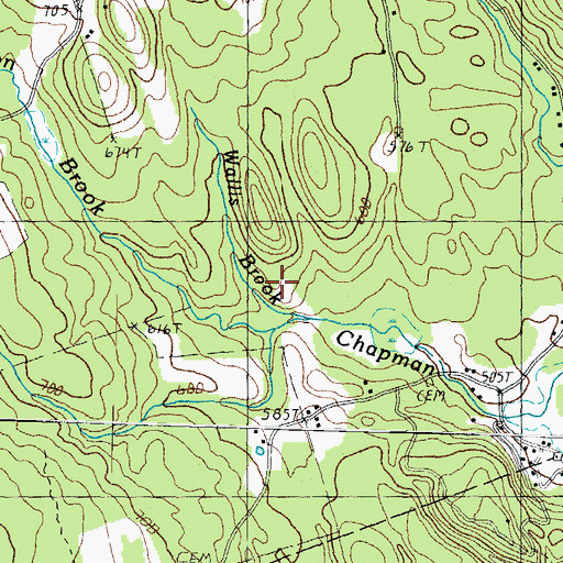 Topographic Map of Wallis Brook, NH