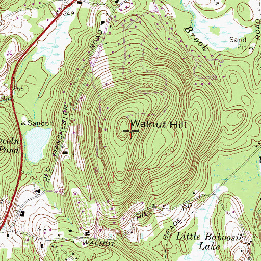 Topographic Map of Walnut Hill, NH