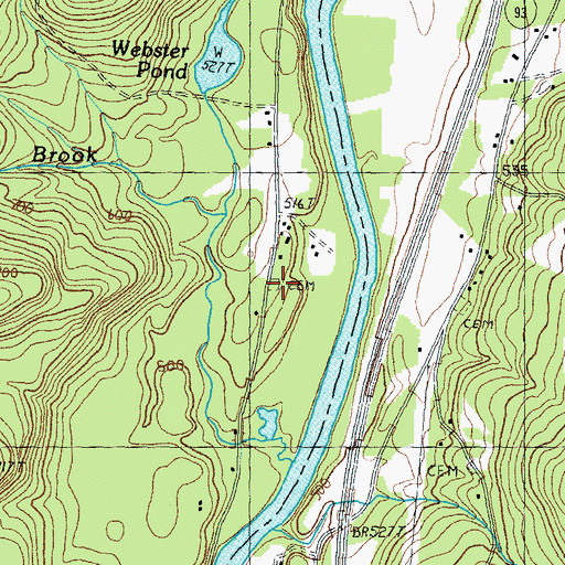 Topographic Map of Webster Cemetery, NH