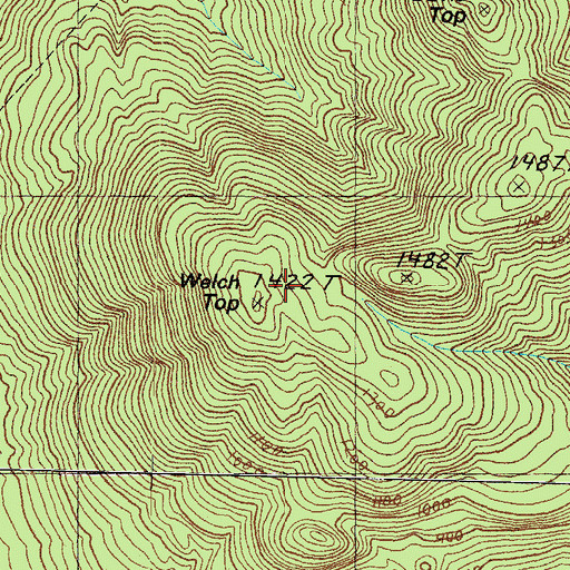 Topographic Map of Welch Top, NH