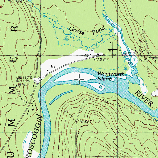 Topographic Map of Wentworth Island, NH