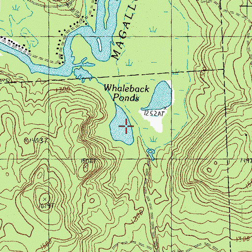 Topographic Map of Whaleback Pond, NH