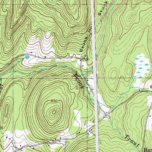 Topographic Map of Whipple Brook, NH