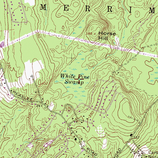 Topographic Map of White Pine Swamp, NH