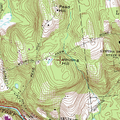 Topographic Map of Whiting Hill, NH