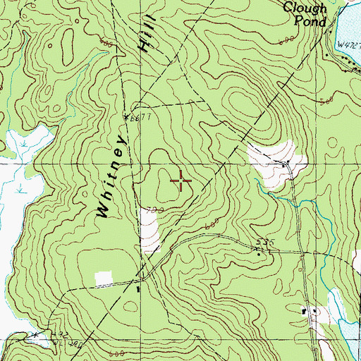 Topographic Map of Whitney Hill, NH