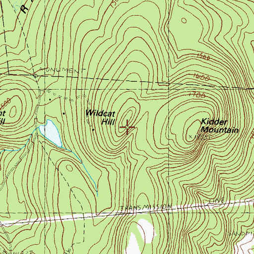 Topographic Map of Wildcat Hill, NH