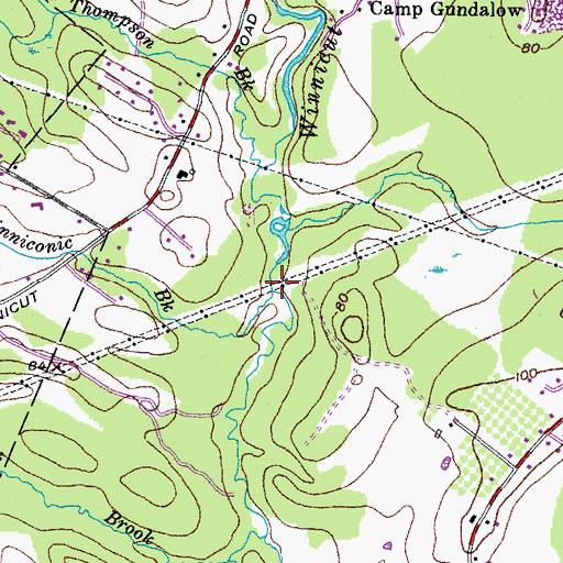 Topographic Map of Winniconic Brook, NH