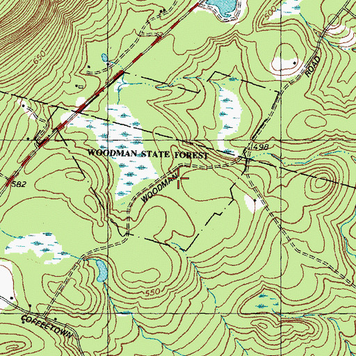 Topographic Map of Woodman State Forest, NH