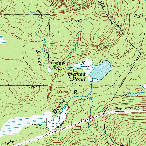 Topographic Map of Black Mountain Pond Trail, NH