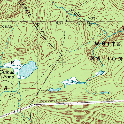 Topographic Map of Guinea Pond Trail, NH