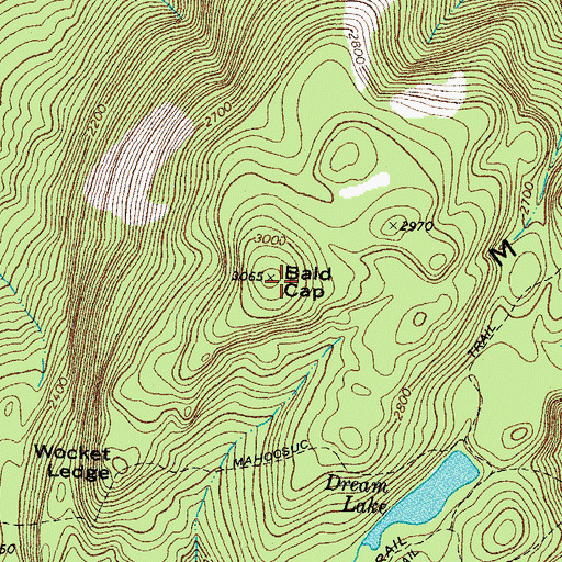 Topographic Map of Bald Cap, NH