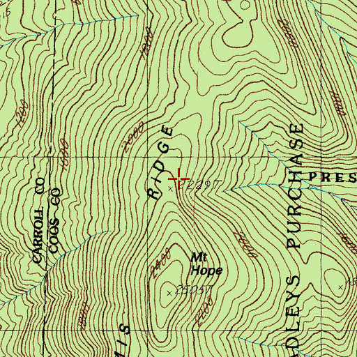 Topographic Map of Bemis Ridge, NH