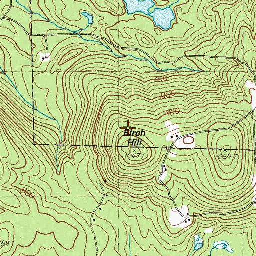 Topographic Map of Birch Hill, NH