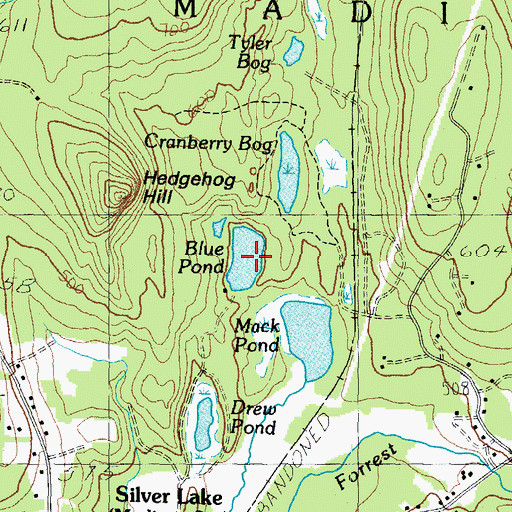 Topographic Map of Blue Pond, NH