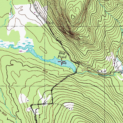 Topographic Map of Bog Pond, NH