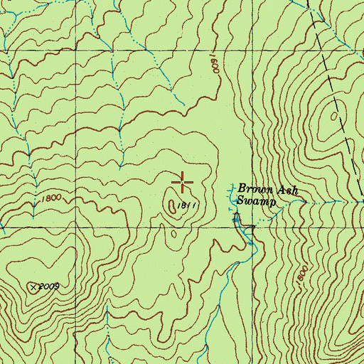 Topographic Map of Brown Ash Swamp, NH