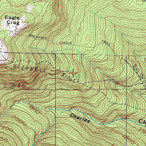 Topographic Map of Brucknell Ridge Trail, NH