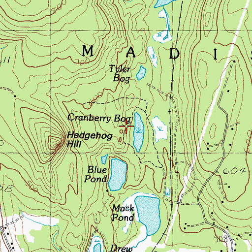 Topographic Map of Cranberry Bog, NH